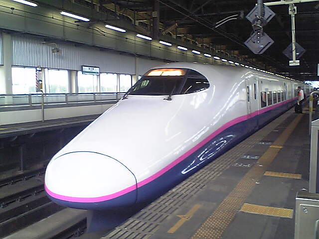専用 11月17日 萩生→新宿 新幹線